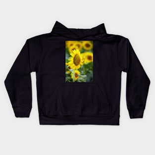 Sunflowers field Kids Hoodie